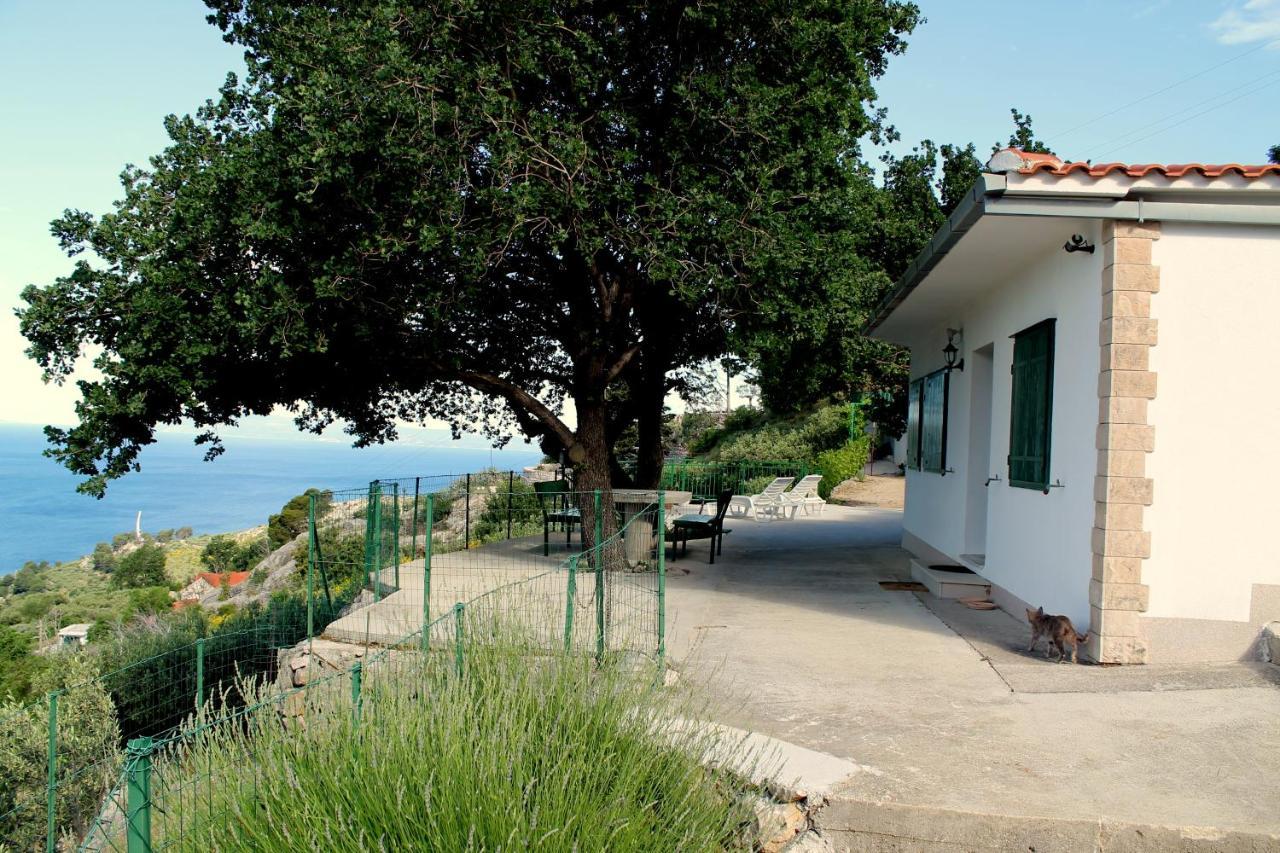 פודגורה Villa " Davorka" מראה חיצוני תמונה