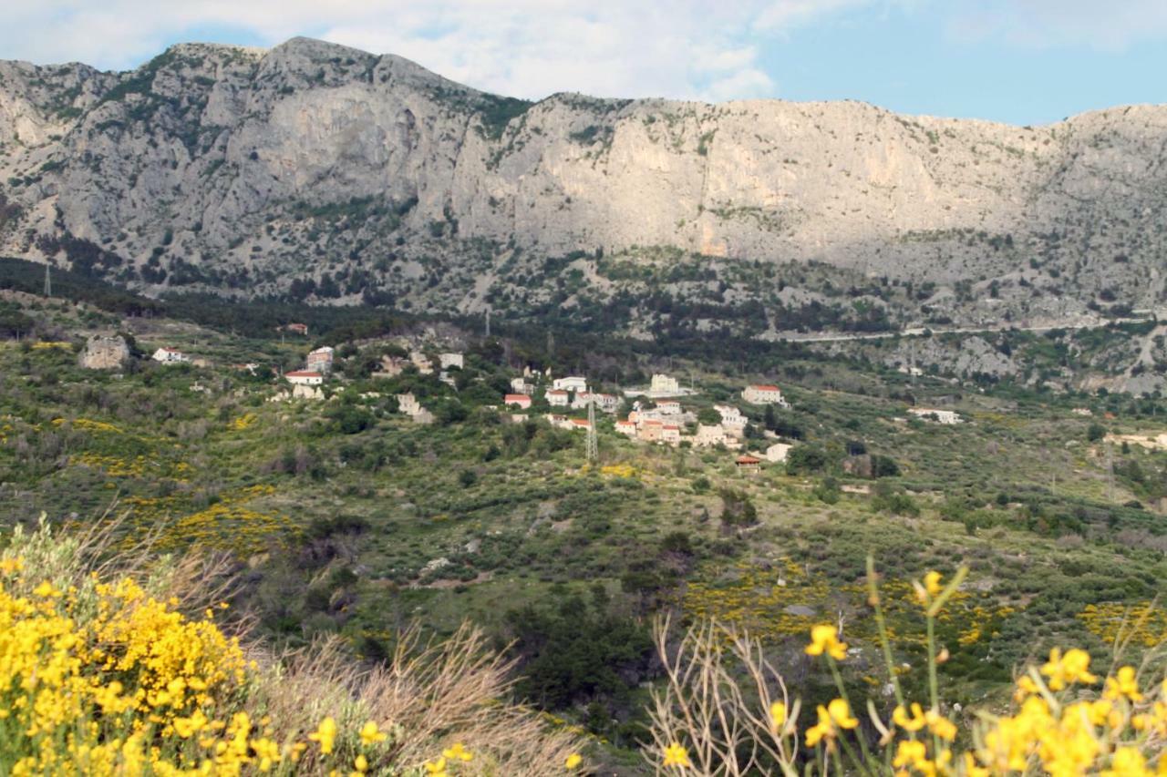 פודגורה Villa " Davorka" מראה חיצוני תמונה